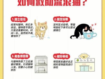 驯服流浪猫的方法与时间（了解流浪猫的特性，耐心与爱是成功的关键）