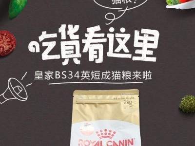 英国短毛猫的饮食需求与猫粮储存技巧（了解如何储存猫粮，给英国短毛猫提供均衡营养）
