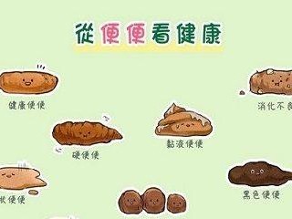 七彩神仙便便的奇妙色彩（探索大自然的瑰丽秘密）