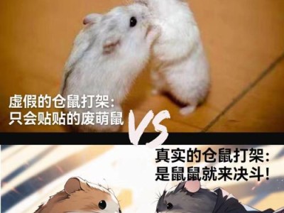 仓鼠生病的原因、症状和治疗方法（小宠物仓鼠的健康护理指南）