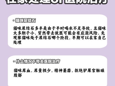 预防猫尿结石的药物选择（维生素C是预防猫尿结石的关键）