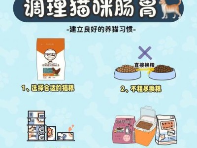 猫咪的日常饮水量及增加方法（关注猫咪的饮水量，保持它们健康快乐）