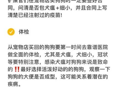 犬瘟病患后再养狗的时机与注意事项（科学判断再养狗的最佳时机，避免犬瘟病二次传播）