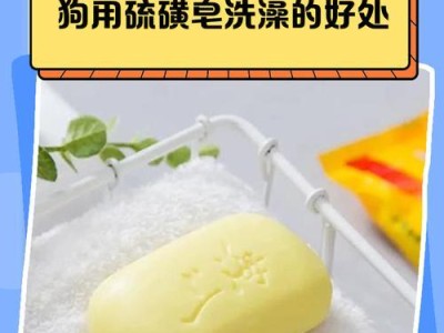 小狗出生多久可以洗澡？（了解适当的洗澡时间能为小狗健康护航）