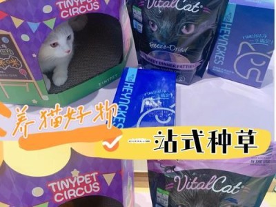 养猫新手种草避雷攻略（初次养猫需要知道的关键事项及实用建议）