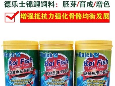 让你的爱鱼绽放更美的色彩——锦鲤增色秘籍（以锦鲤身上的颜色会变淡为出发点，如何给锦鲤增色？）