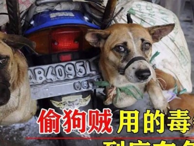 狗中毒了喝什么药？（狗中毒应急救治的药物以及“狗中毒”）