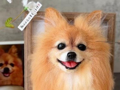 探秘博美犬（全面了解这个可爱的迷人品种，让你的生活更加充实快乐）