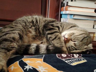 猫的呜呜之谜（探寻猫咪为什么会呜呜的原因与意义）