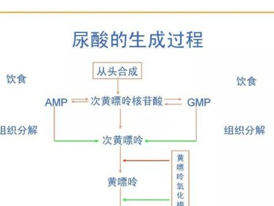 猫咪的饮水与排尿量（猫咪每日饮水量和排尿量的重要性及相关指导）