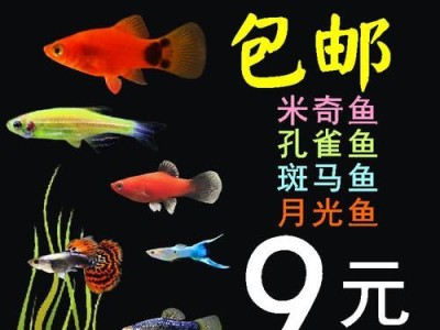 红月光鱼鱼苗的生长过程（探究红月光鱼鱼苗的成长周期及关键因素）