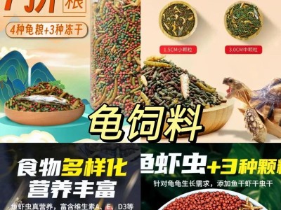 以锯缘龟喂什么最好？（了解锯缘龟的饮食需求及最佳喂养方法）