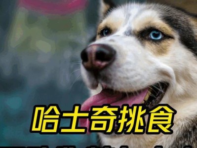 哈士奇狗狗的饮食需求（探索哈士奇狗狗每月所需狗粮量）