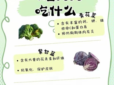 探索狗狗的美食世界——如何让你的宠物永远不再叫饿（揭秘狗狗的健康饮食秘籍，让你的宠物永远满足）