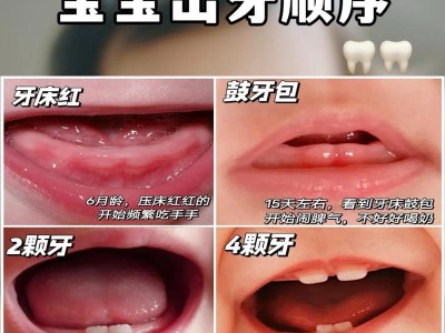 小狗长牙周期及护理知识（了解小狗长牙周期，科学照顾它的口腔健康）