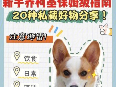 柯基犬的饲养指南（如何正确喂养和照顾你的柯基犬）