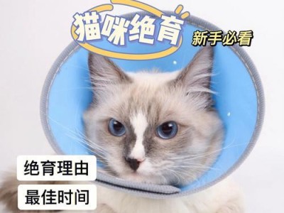 关于小猫节育的重要性（保护宠物猫健康快乐生活的必要措施）