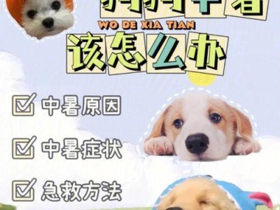 犬中暑（如何帮助犬只快速恢复）