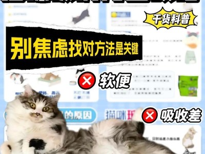 最常见的猫咪品种及其价格调查（了解你所养猫咪的真实价值）