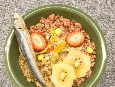 猫的主食不仅限于猫粮，还可以吃什么？（探索猫咪的饮食习惯和适宜食物，了解猫咪的饮食需求）