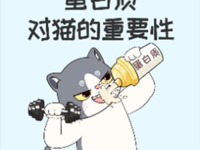 猫的饮食需求（了解猫咪的营养需求，给它们提供健康的饮食）