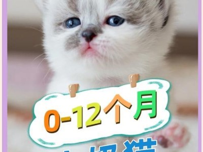 奶猫的亲人是谁？（揭开奶猫与不同亲人的关系之谜）