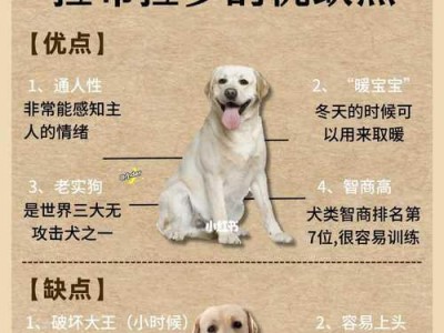 养拉布拉多幼犬的注意事项（从幼犬期到成年期，如何正确照顾拉布拉多？）