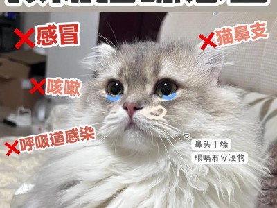 猫感冒发烧怎么办？快速缓解方法分享（猫发烧咳嗽，如何用药治疗？）