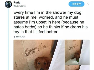 狗狗为什么害怕洗澡？（探究狗狗害怕洗澡的原因及解决方法）