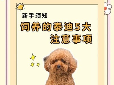 泰迪产后恢复（了解泰迪宝宝产后恢复的重要性及注意事项）