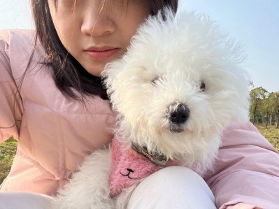 如何判断比熊的年龄和照顾年老的比熊（了解比熊的年龄迹象，提供适当的护理和关爱）