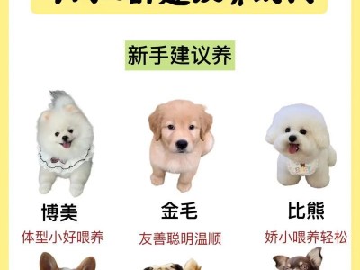 新手宠主养什么狗好？（适合新手养的狗狗品种有哪些？）