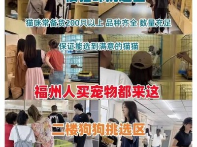 萨摩耶幼犬的喂养方法（以5个月的萨摩耶吃多少？）