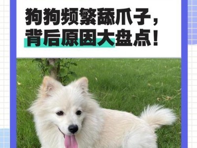 盘点常见狗狗价格，别买贵了（了解狗狗价格，为你的宠物生活省钱）