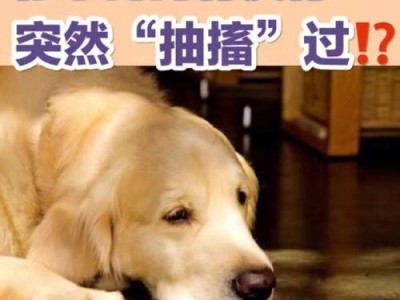 揭秘狗狗健康——什么情况下是不正常的？（了解狗狗身体状况，守护它们的健康）