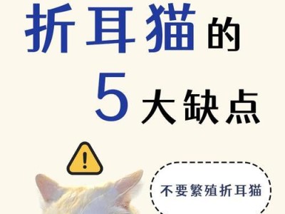 折耳猫的身价列表与品相评估（了解折耳猫市场行情及如何判断好品相）