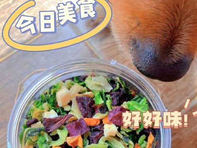 狗狗健康所需的六种关键营养素（缺一不可，宠物健康从饮食开始）
