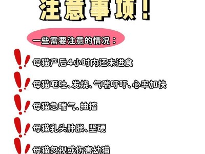 母猫产后多久适合换地方？（探讨母猫产后适宜迁居的最佳时机）