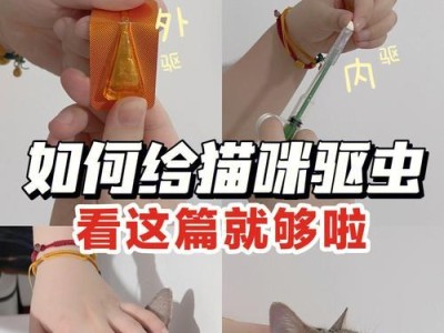 家猫驱虫费用一览（家猫驱虫的必要性和费用预算，你需要了解的全部信息。）