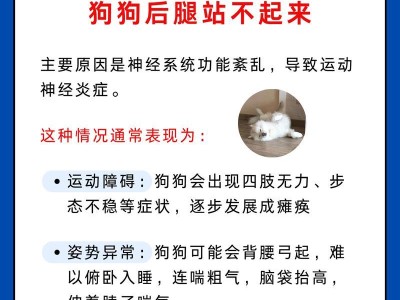 狗狗后腿拉伤需要多长时间恢复？（探讨狗狗后腿拉伤的康复时长及注意事项）