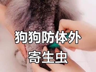 狗吃驱虫药后多久拉虫子？（了解宠物狗驱虫周期的关键）