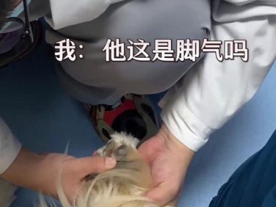 为什么狗狗会一直玩弄自己的脚？（探究狗狗玩弄脚部的原因及是否可能患有脚气）