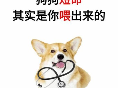 狗狗太瘦了怎么办？调整喂养方式让它健康起来！（喂养方式调整是让瘦狗恢复健康的关键）