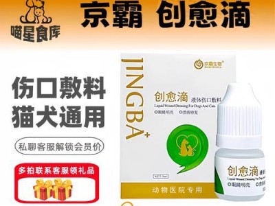 猫眼药水使用频率及滴眼时间建议（以猫眼药水多久滴一次为主题的使用指南）