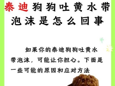 狗狗呕吐吐白沫的常见原因及处理方法（探寻狗狗呕吐吐白沫的原因，为你提供适当的处理方法）