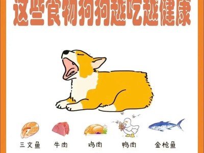 如何正确安排狗狗的饮食时间（探讨狗狗的喂食频率及时间间隔）