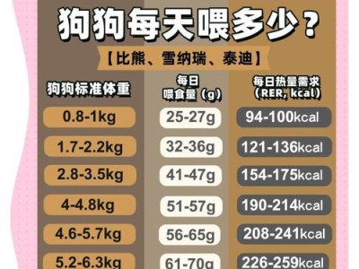 狗狗饮食指南（狗狗一天喂几顿好？解答你的喂食疑惑）
