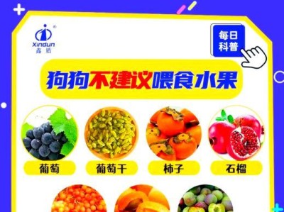 狗能吃哪些水果？（了解适合狗吃的水果种类及其好处）