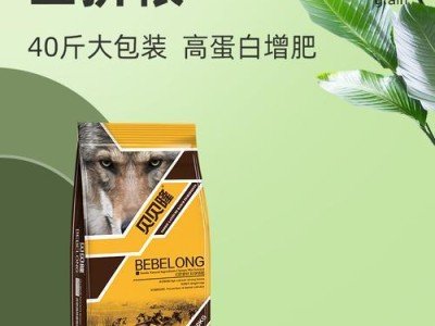 小古牧的饮食需求