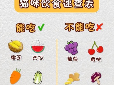 猫可以吃哪些人类食物？（探索猫咪与人类食物的相容性）